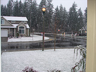 marchsnow1.jpg