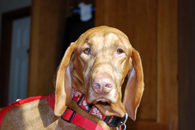 dsc_0126_edited-11